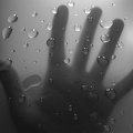 16. Hafta Fotoğrafı