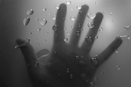 16. Hafta Fotoğrafı